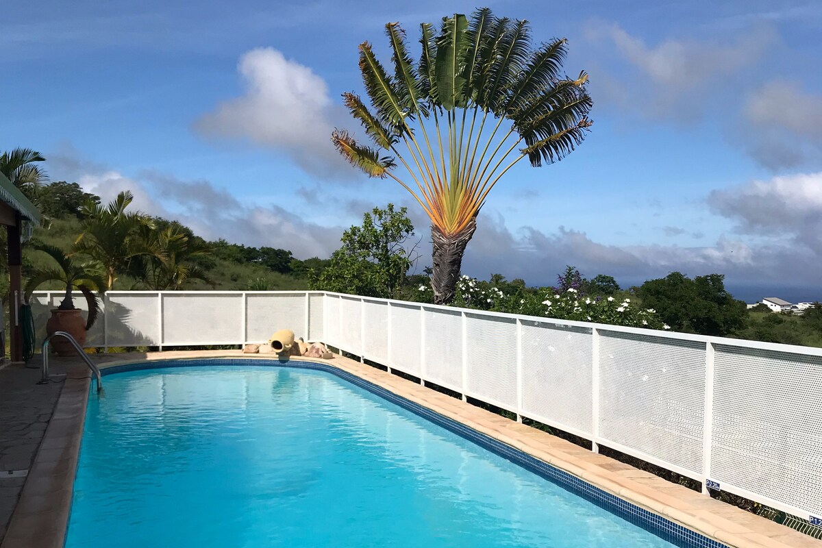 A serene swimming pool is set against a backdrop of greenery and a clear blue sky. Palm trees frame the area, adding to the relaxed ambiance. The pool's blue water reflects the sun, inviting visitors to enjoy a refreshing swim.