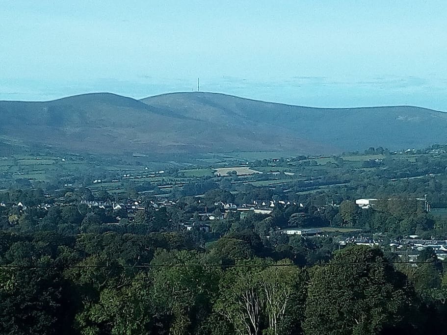 Mount Leinster view from house