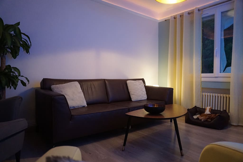 Salon : Canapé 3 places + Fauteuil + 4 chaises