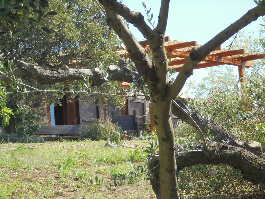 giardino