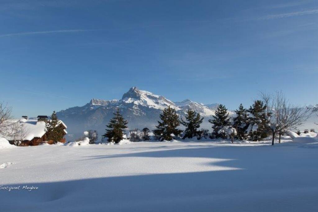 View from Chalet