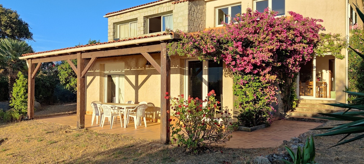 An outdoor terrace is featured, shaded by a wooden pergola and surrounded by vibrant greenery and flowering plants. A large table and white chairs invite outdoor dining. The facade of the house is visible, with large windows allowing natural light into the interior.