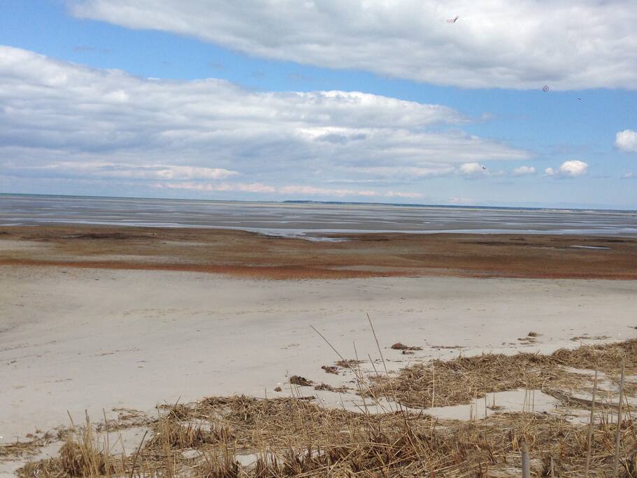 Local beach one mile from the house