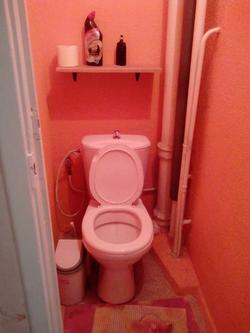 The toilet