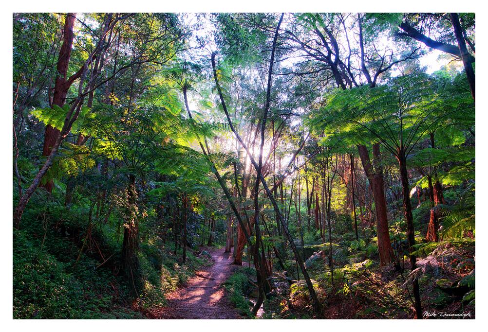 Cooper Park