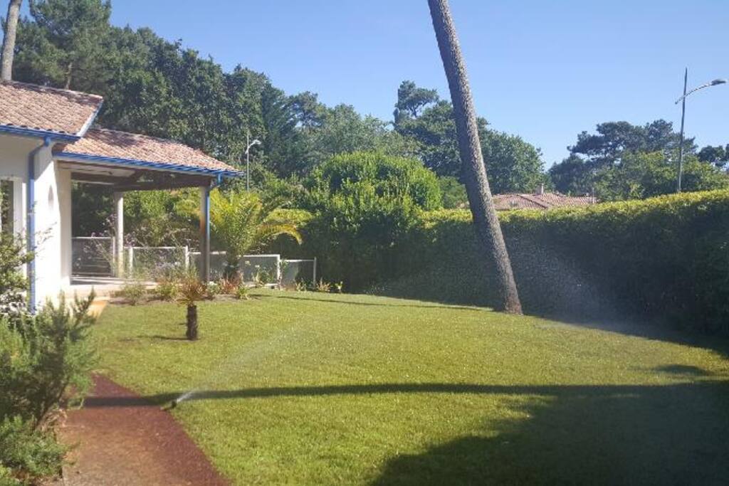 une partie du jardin
