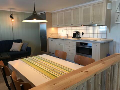 Popular Airbnb listing: Countryside apartment with a view, near the city in Jämtlands