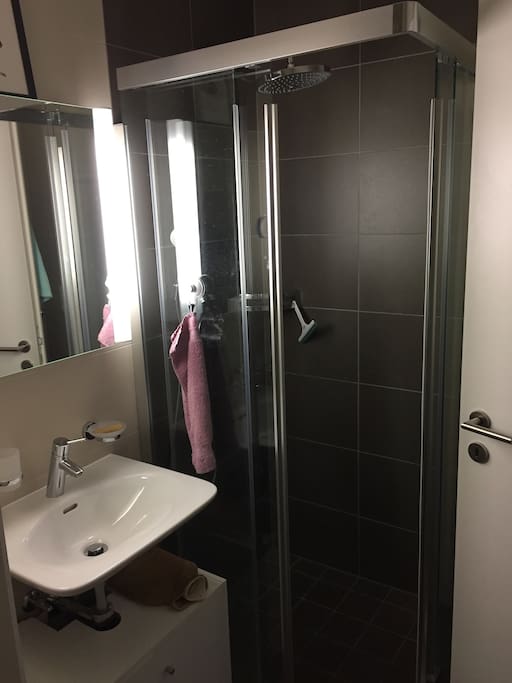 douche salle de bains privative
