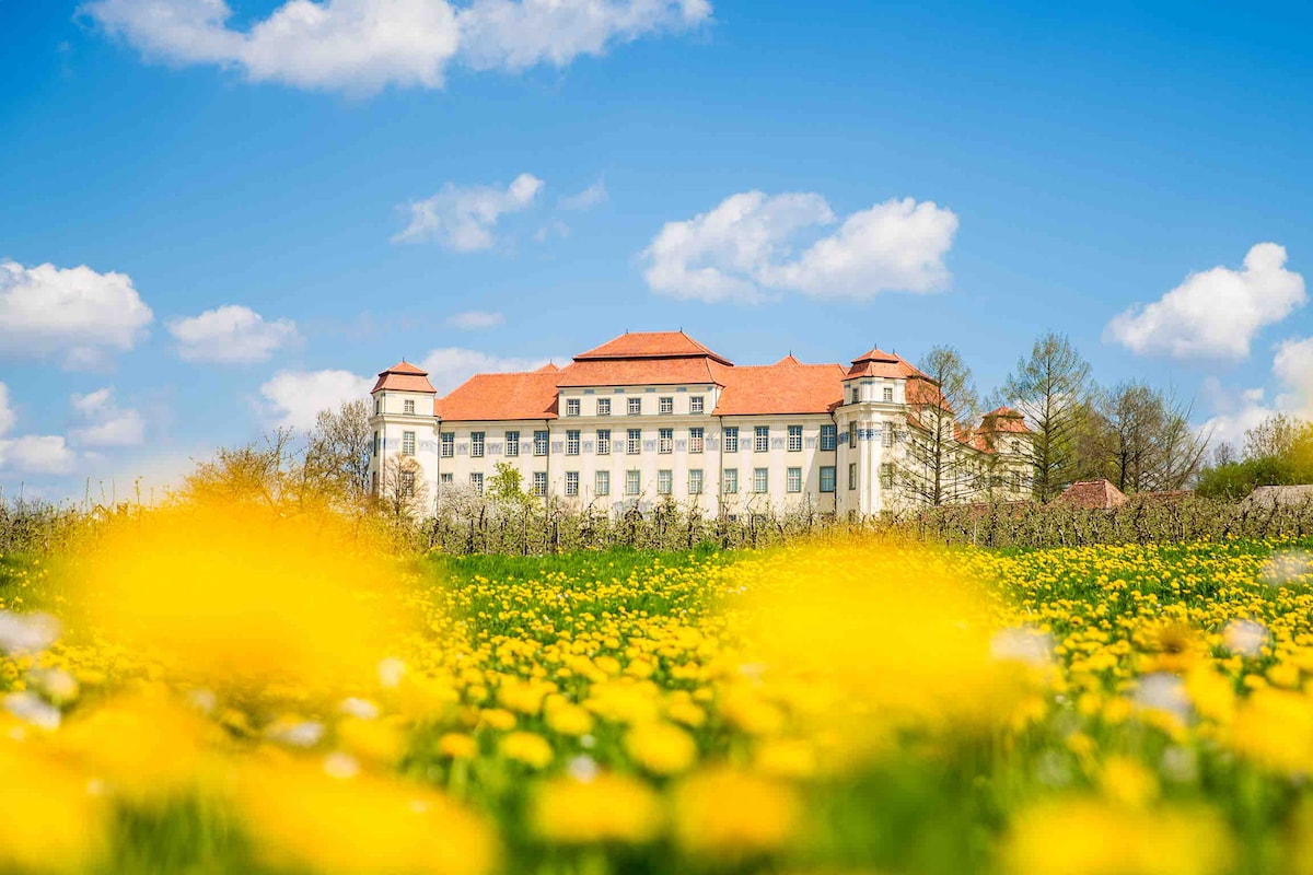 A historic building with a red-tiled roof stands against a clear blue sky, surrounded by a field of yellow dandelions. Soft clouds drift above, creating a serene backdrop for the structure, which features multiple stories and characteristic architectural details.
