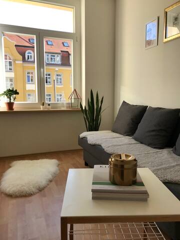Sunny quiet apartment Dresden - near center