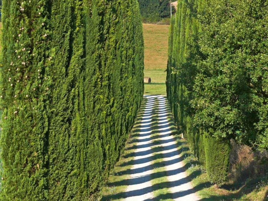 viale di ingresso