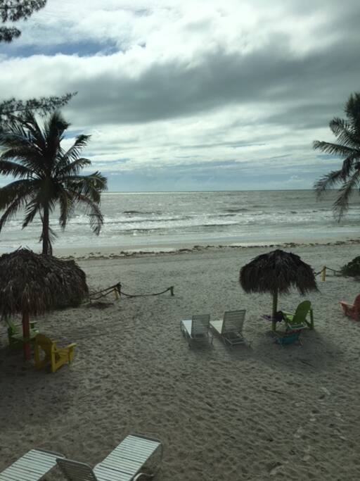 View From your Room.