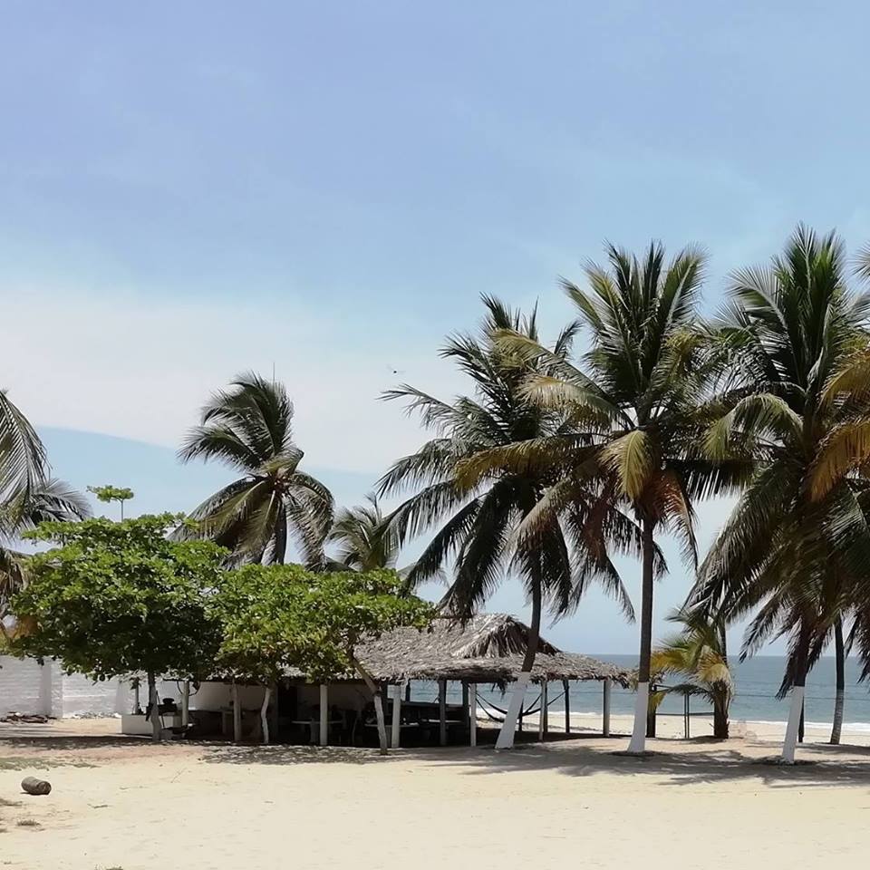 A shaded outdoor space is nestled among palm trees, with a thatched-roof structure visible. The sandy beach extends towards the calm sea under a clear sky, inviting relaxation and enjoyment of the natural surroundings.