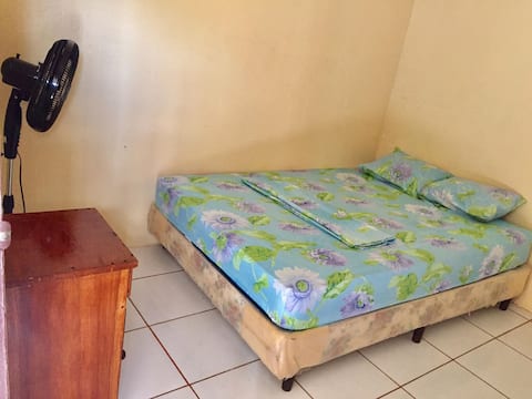 Private Room in Downtown Apartment