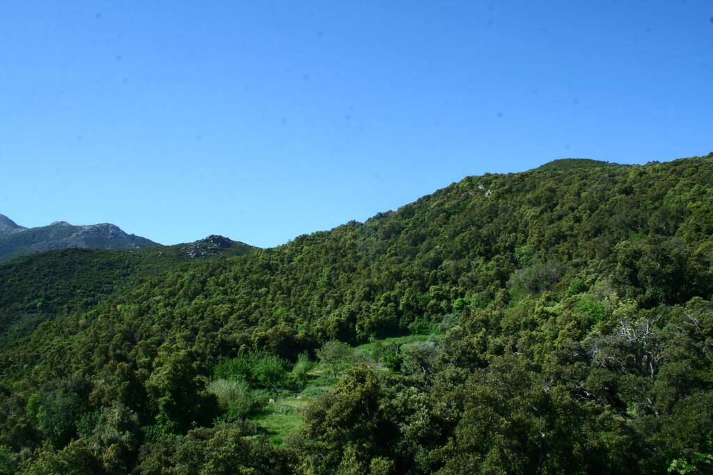 VUE DU STUDIO