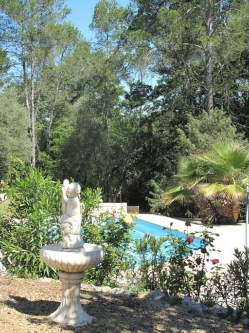 Vue piscine