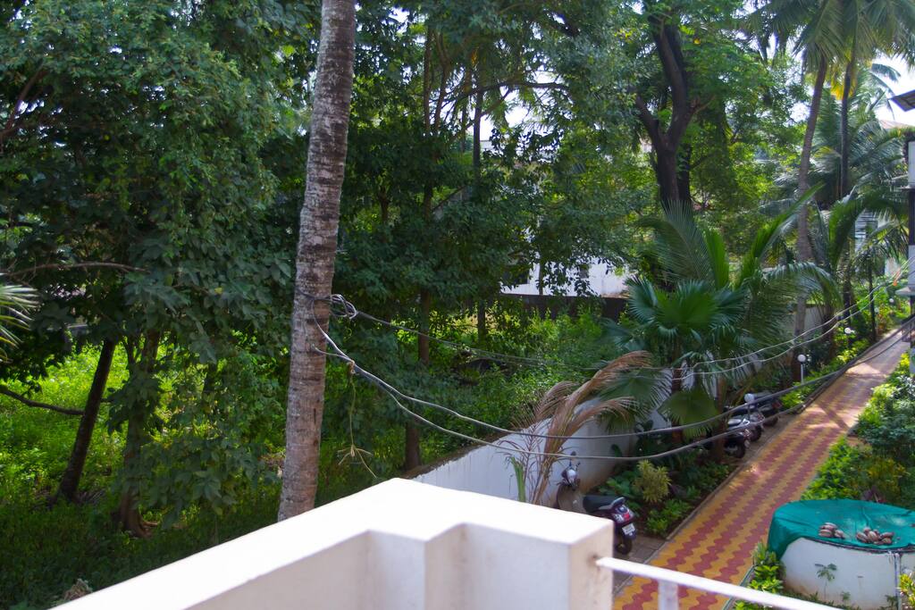 Pathway