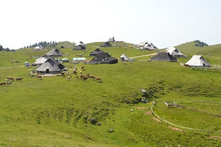 Top 20 des locations de vacances à velika planina, locations ...