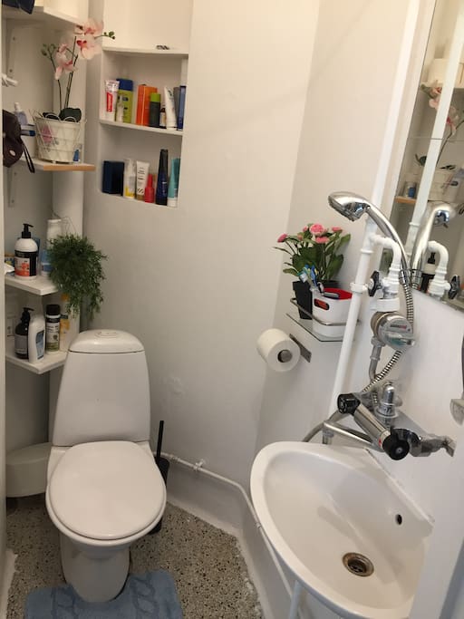Toilet