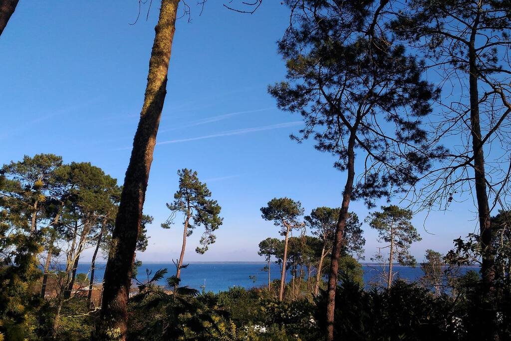 Vue depuis la terrasse du chalet