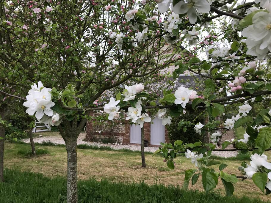 42f3d262 342a 4689 9352 8f8e9406fd18