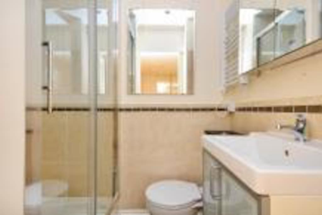 Ensuite bathroom with shower to main bedroom