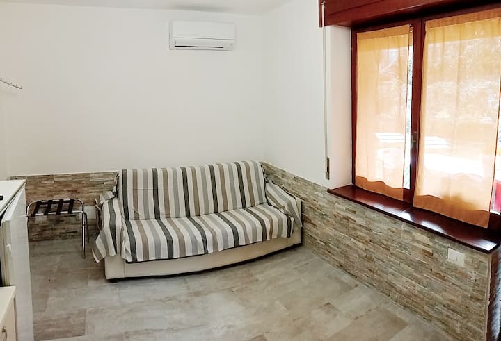 Living room, sofa bed view