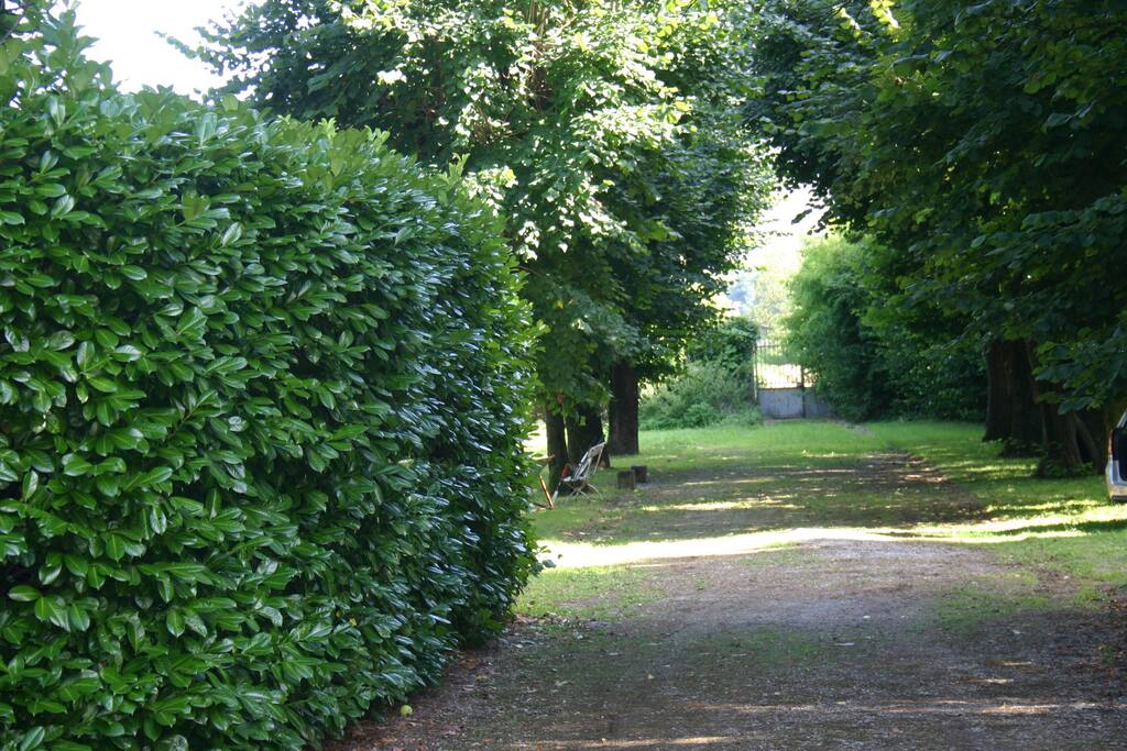 Allée du tennis