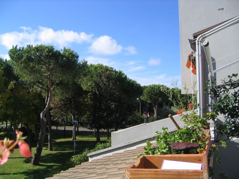 Terrazza
