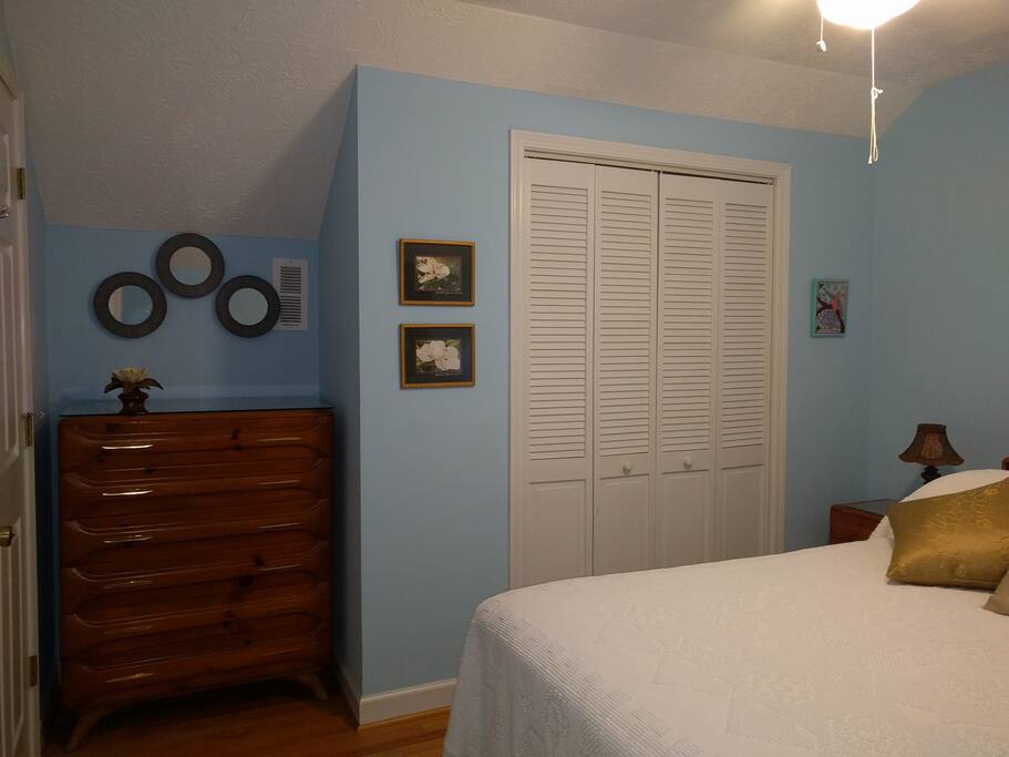 Closet and dresser provide ample storage.