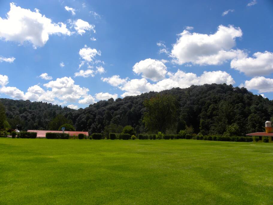 Rodeado de naturaleza