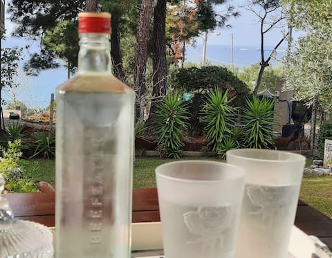 Top performing Airbnb: Zoi's house in Δήμος Νέας Προποντίδας