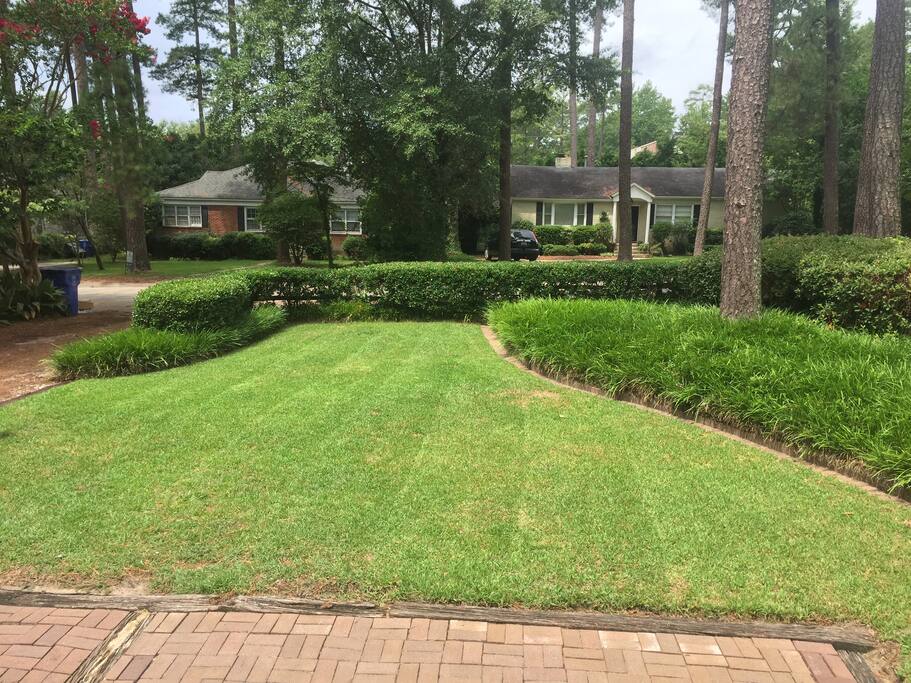 Yard from Frond Door