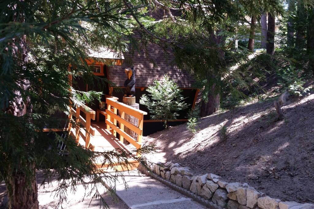 Bridge to Fun and Relaxation