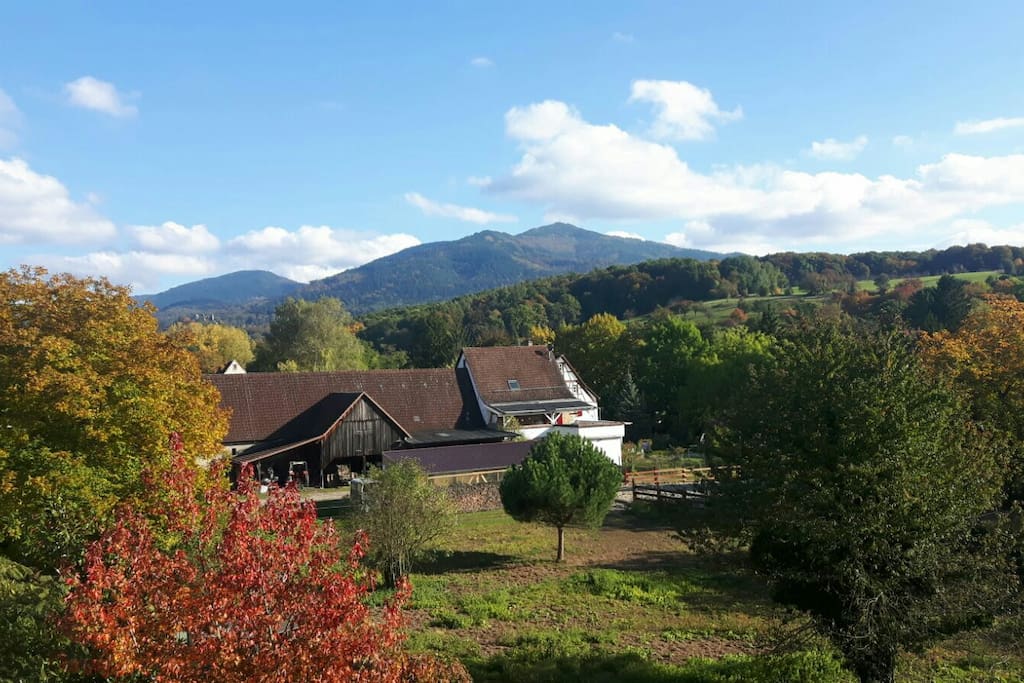 Ausblick von der Dachterrasse