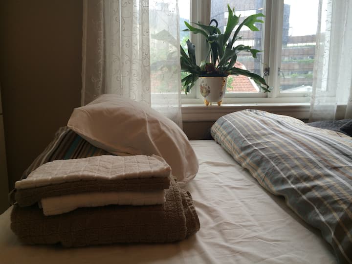 Sofá cama de boa qualidade (120 cm de largura).