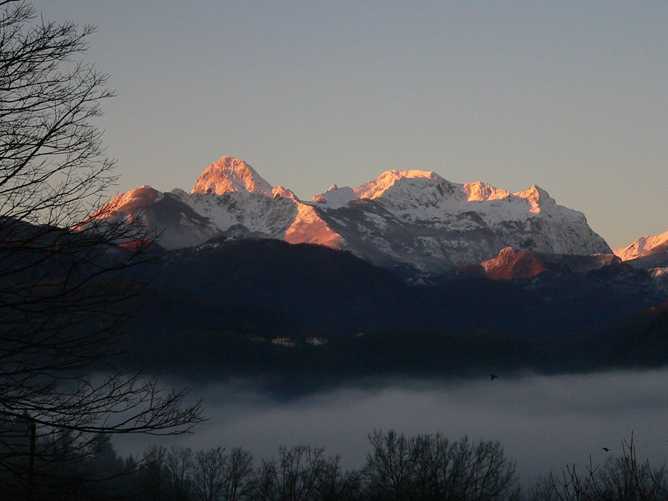 The image displays a majestic mountain range bathed in warm sunlight during sunrise. Snow-capped peaks rise prominently above a soft sea of mist, while the foreground features dark tree silhouettes, enhancing the serene landscape.