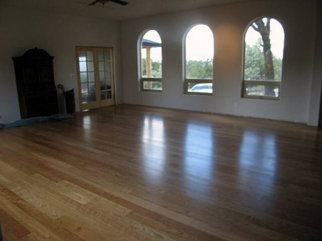 Down Stairs Great room for yoga and dance when available.