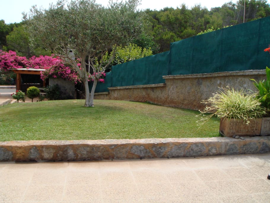 zona ajardinada