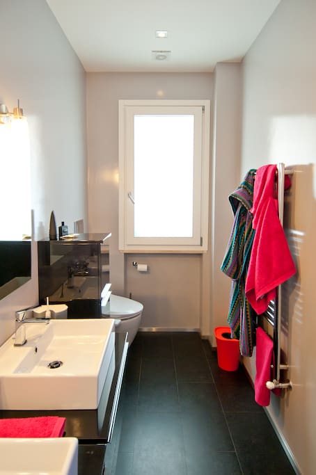 Guest bathroom