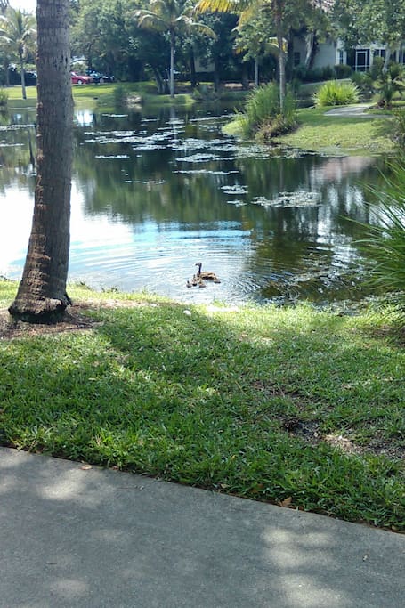 Right in front of the apt.