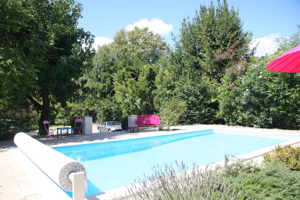 The pool in early afternoon