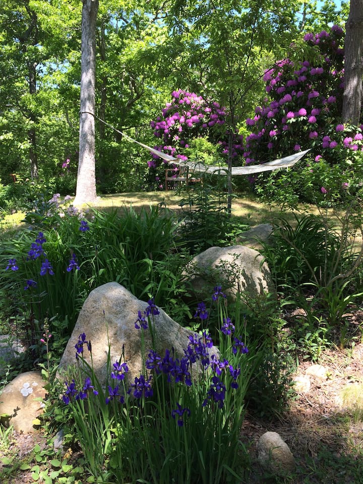 Image of Airbnb rental in Martha's Vineyard