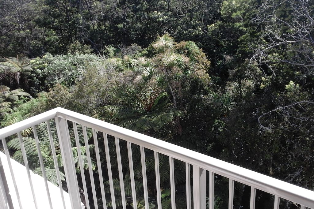 From the sun drenched deck