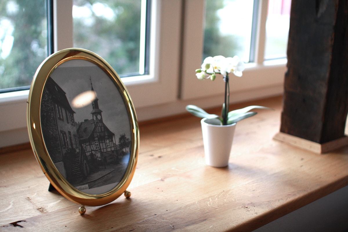 Popular Airbnb listing: Steffens vacation home in Rhein Hunsrück Kreis