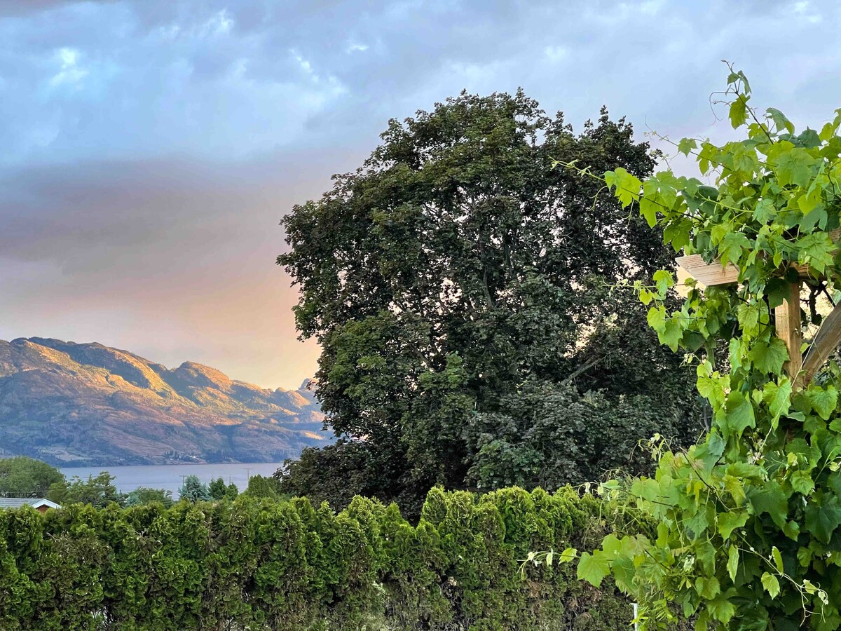A lush green vineyard is framed by manicured hedges, with a large tree in the foreground. In the distance, mountains are softly illuminated by the setting sun, while a tranquil body of water reflects the serene landscape.