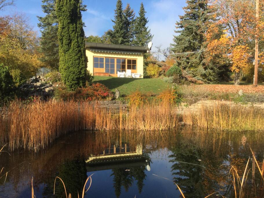 Schwimmteich mit Blick zum Gartenhaus