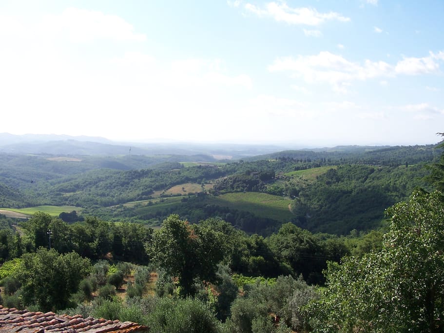 Panorama