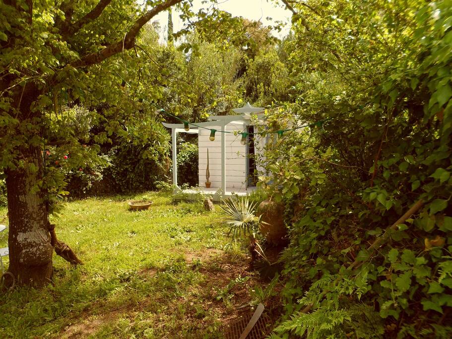 jardin en début de printemps