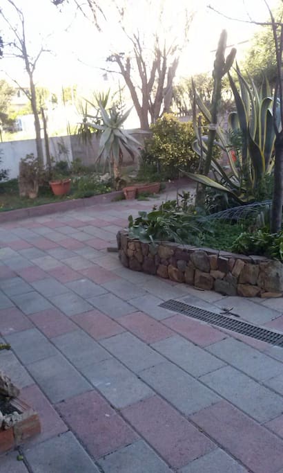 A bit of the garden